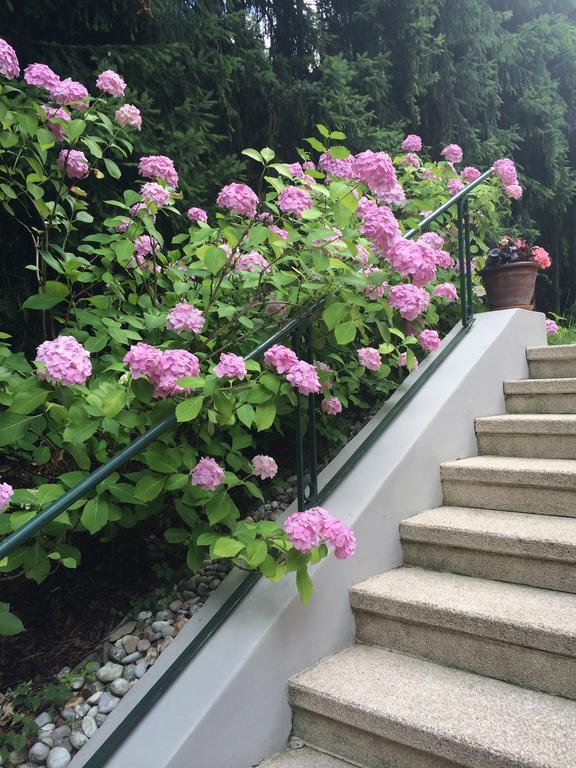 Exquisites Gartenapartment in eleganter Jugendstilvilla Viena Exterior foto